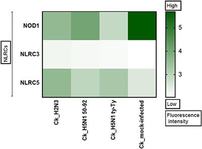 NLRC5 Serves as a Pro-viral Factor During Influenza Virus Infection in Chicken Macrophages